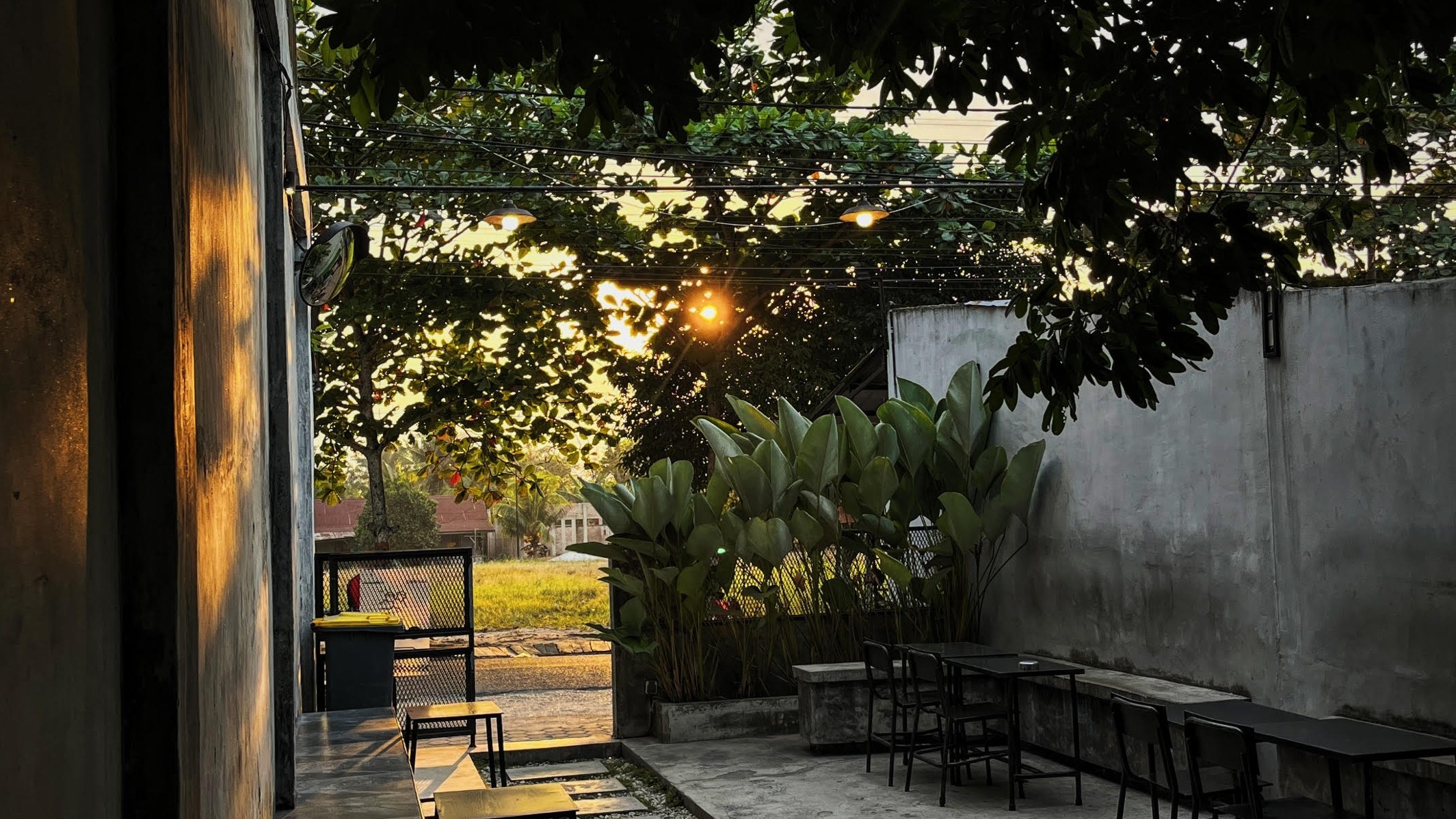 Asa Coffee - Pinggir, Riau